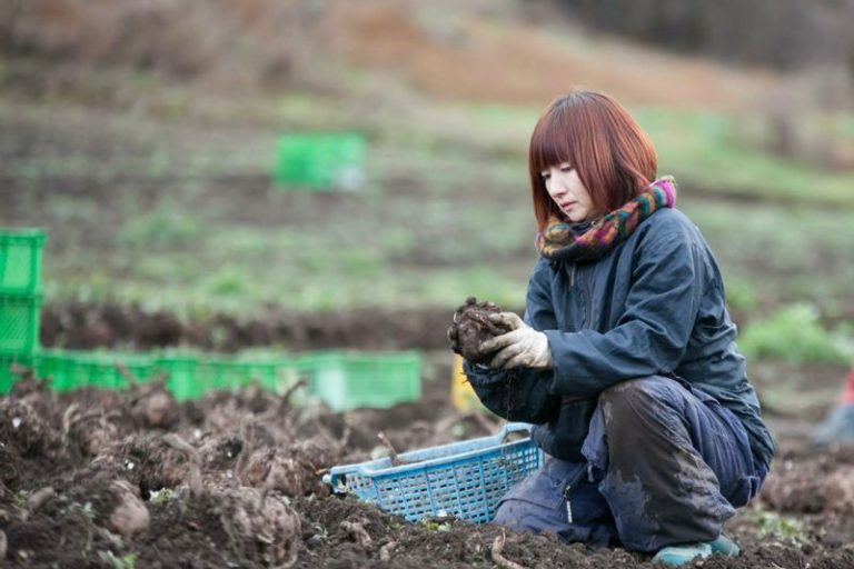 Farmer Konjac